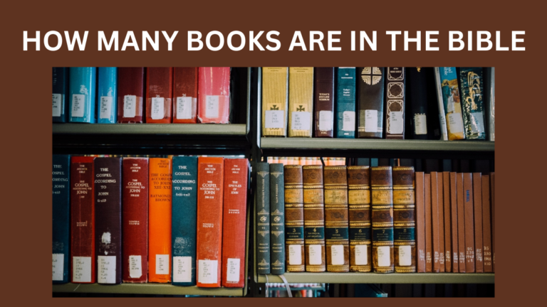 how many books are in the bible