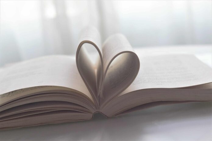 one true loves book