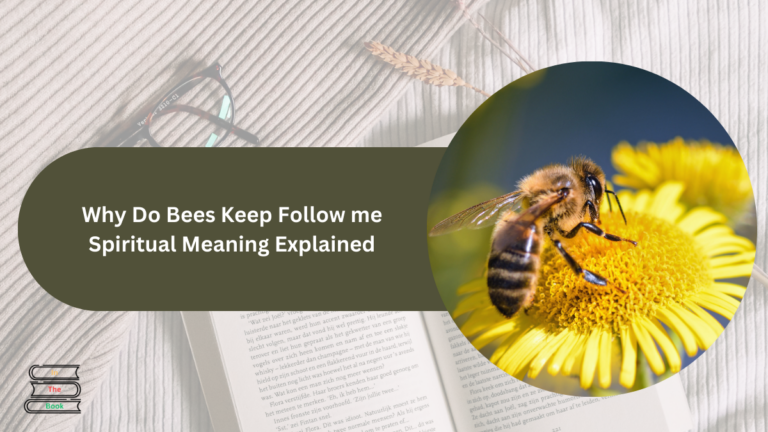 Why Do Bees Keep Follow me Spiritual Meaning