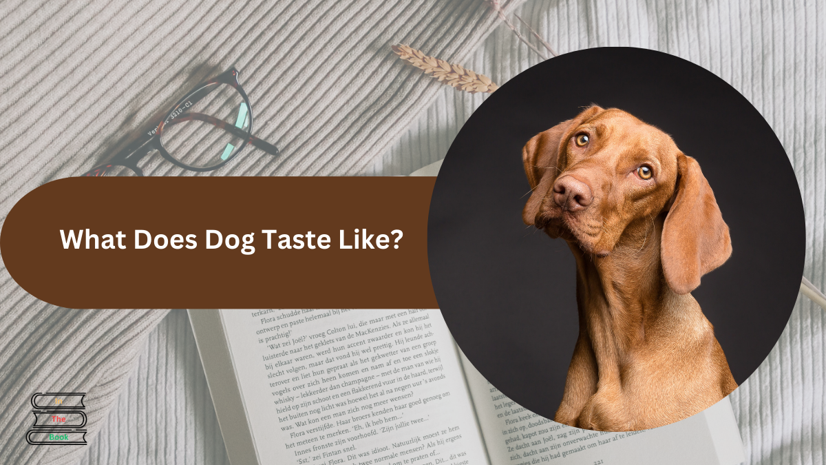 What does dog taste like