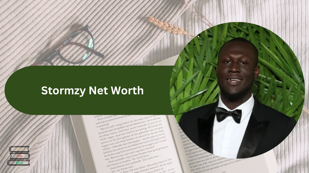 Stormzy Net Worth