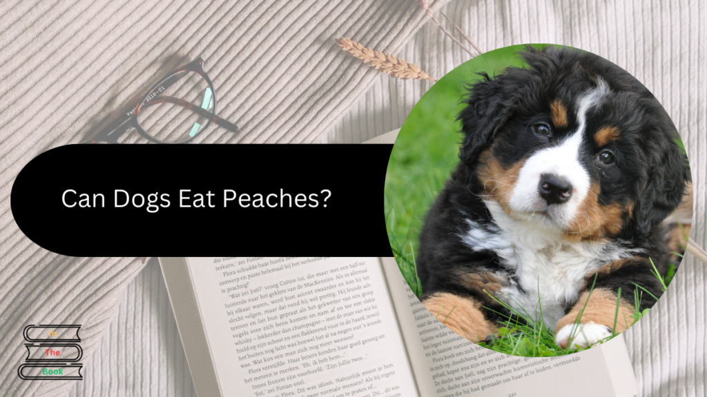 Can Dogs Eat Peaches