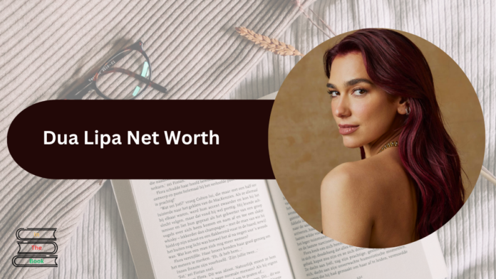 dua lipa net worth