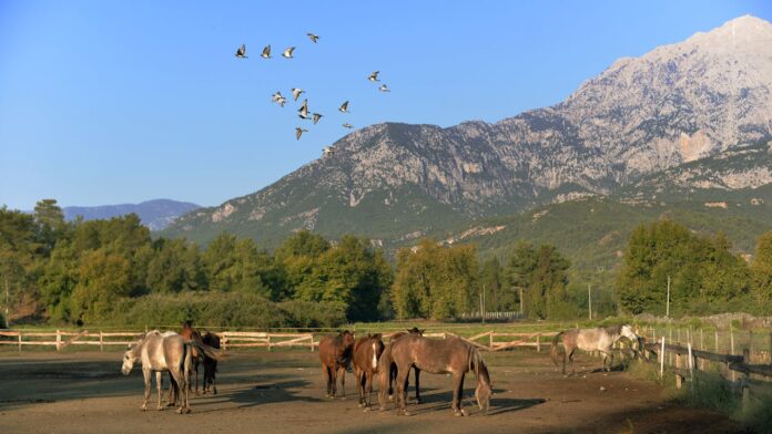 Books to Expand Your Horse Racing Knowledge